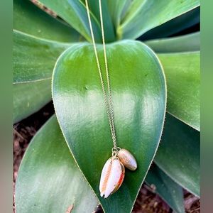 Handmade authentic Kauai rare honey cowrie seashell necklace.